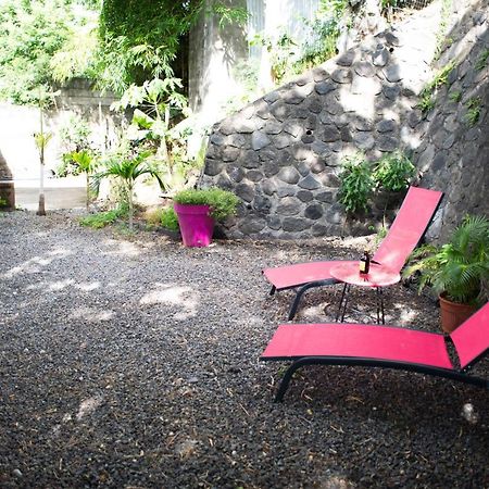 Le Bambou T3 Centre Ville Sainte Clotilde Rez De Jardin Bois de Nefles  Exterior foto